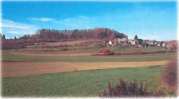 NM - drage
