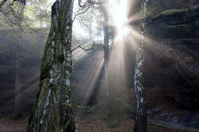 fog-light-2666984_960_720-768x511
